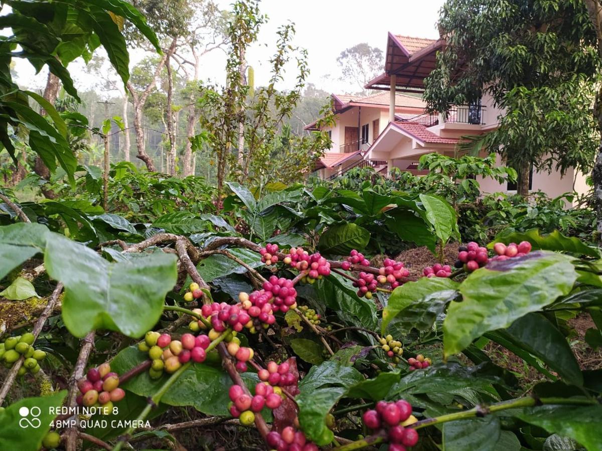 Wanders In Travel Company Hotel Madikeri Exterior photo
